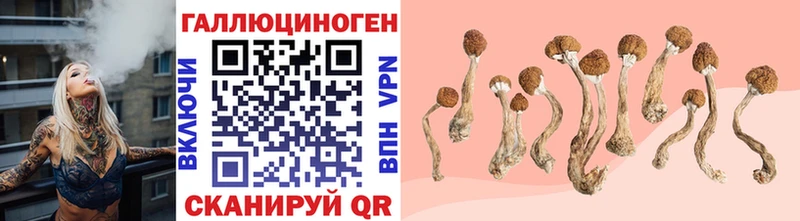 Псилоцибиновые грибы ЛСД  Петровск 