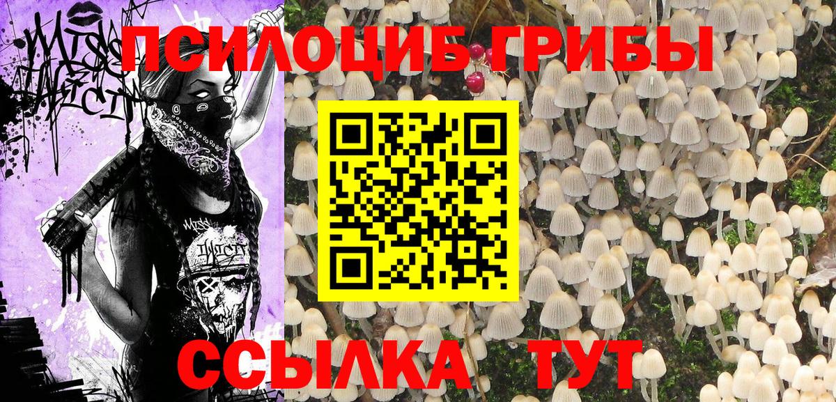 купить  цена  Вход с VPN  Петровск  Псилоцибиновые грибы MAGIC MUSHROOMS 