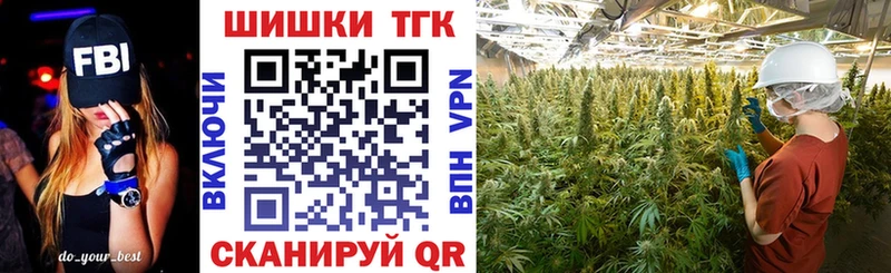 купить наркотики цена  Петровск  Бошки марихуана гибрид 